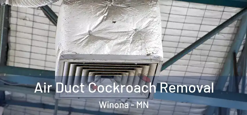 Air Duct Cockroach Removal Winona - MN