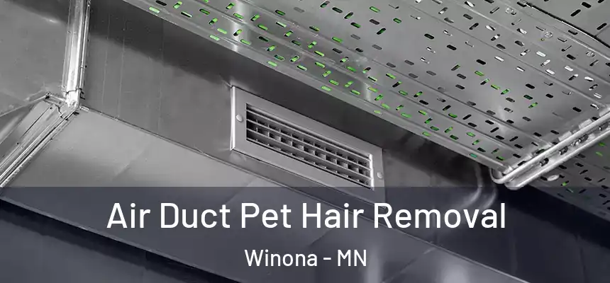  Air Duct Pet Hair Removal Winona - MN