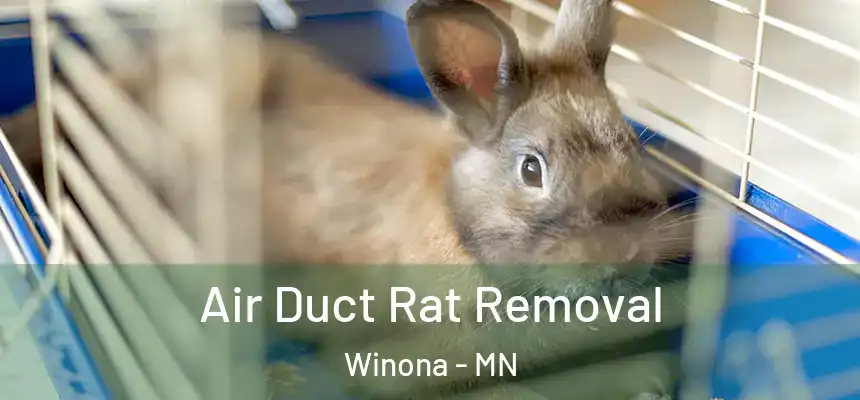 Air Duct Rat Removal Winona - MN