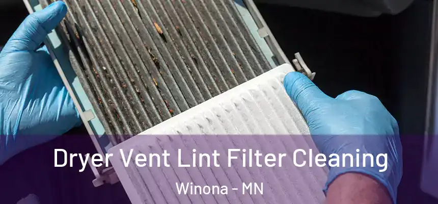 Dryer Vent Lint Filter Cleaning Winona - MN
