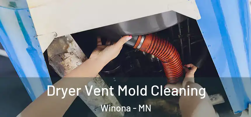  Dryer Vent Mold Cleaning Winona - MN