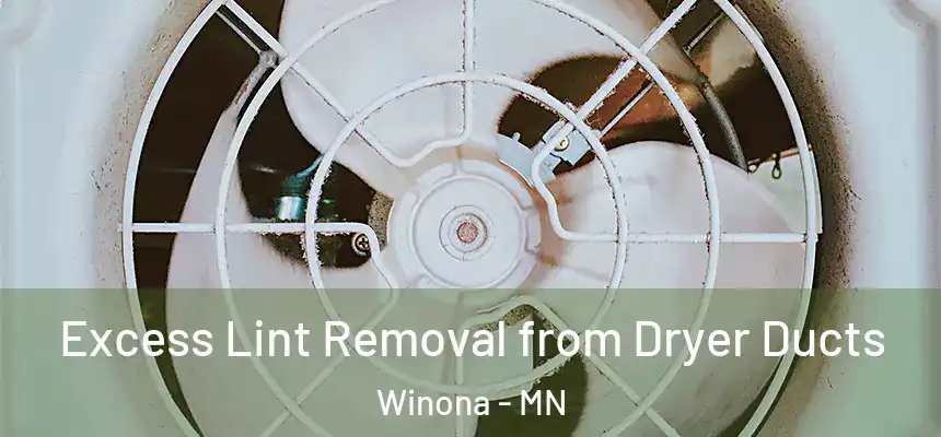 Excess Lint Removal from Dryer Ducts Winona - MN