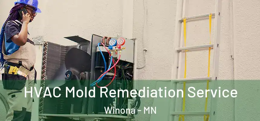 HVAC Mold Remediation Service Winona - MN