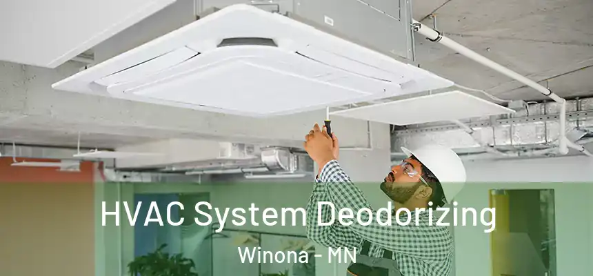  HVAC System Deodorizing Winona - MN