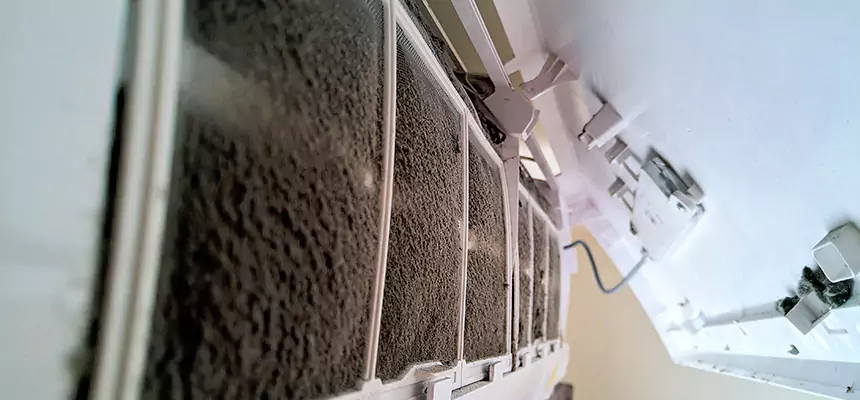 Preventive Air Duct Bacteria Removal in Winona