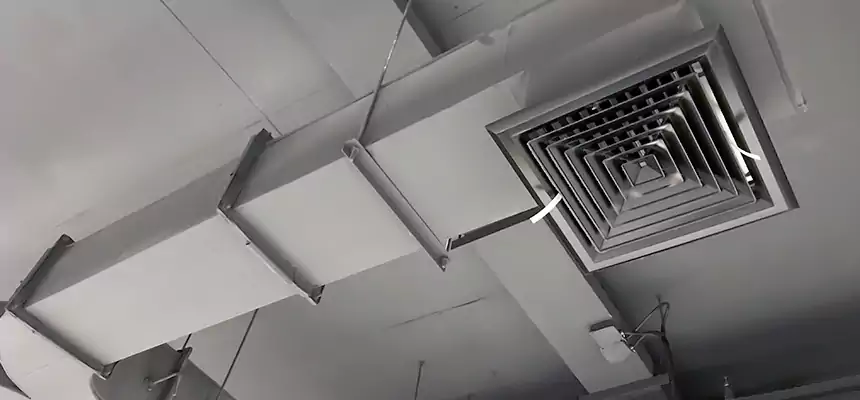 Restorative Allergy Relief Vent Cleaning – Coil, Blower & Housing Detail in Winona