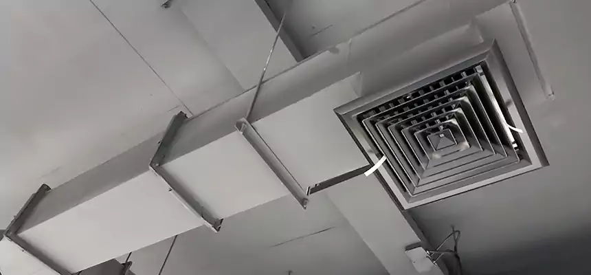 Our Rodent Droppings In Vents Services in Winona, MN