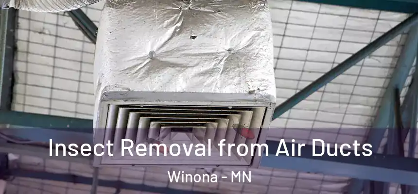 Insect Removal from Air Ducts Winona - MN