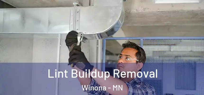  Lint Buildup Removal Winona - MN
