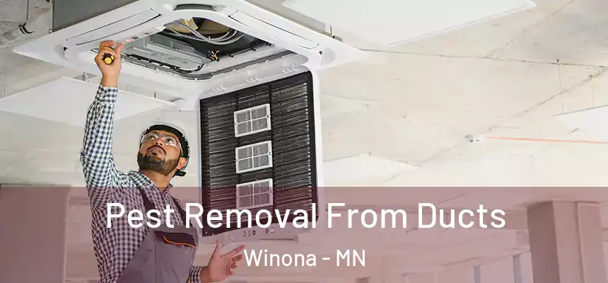 Pest Removal From Ducts Winona - MN