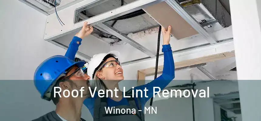 Roof Vent Lint Removal Winona - MN