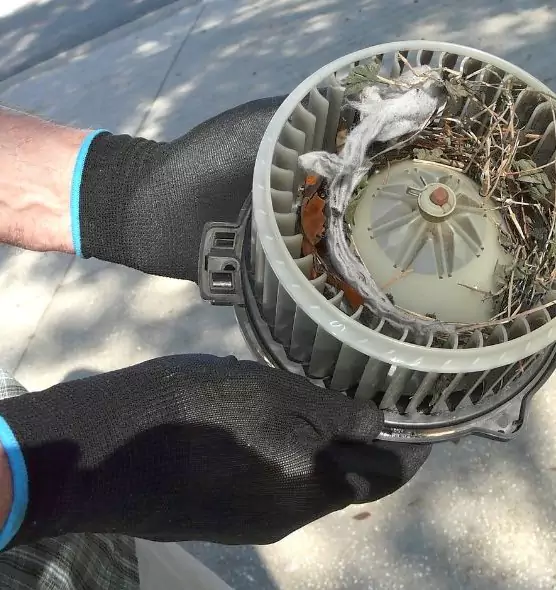 About Air Duct Mice Removal in Winona, MN