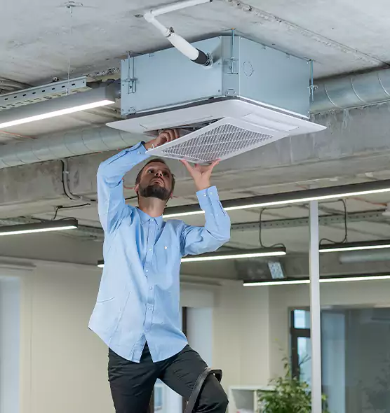 Advanced Rodent Droppings In Vents in Winona, MN