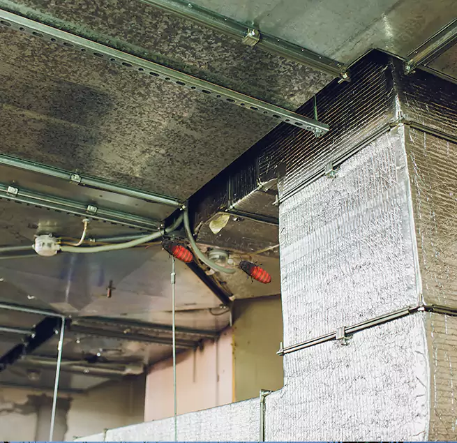 Why Homeowners & Businesses Trust Us in Winona, MN?