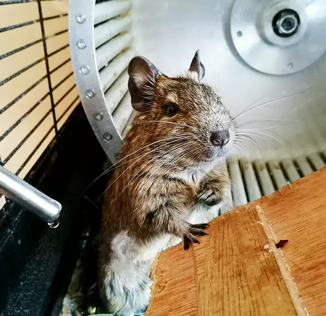 Why Homeowners & Businesses Trust Us Winona, MN