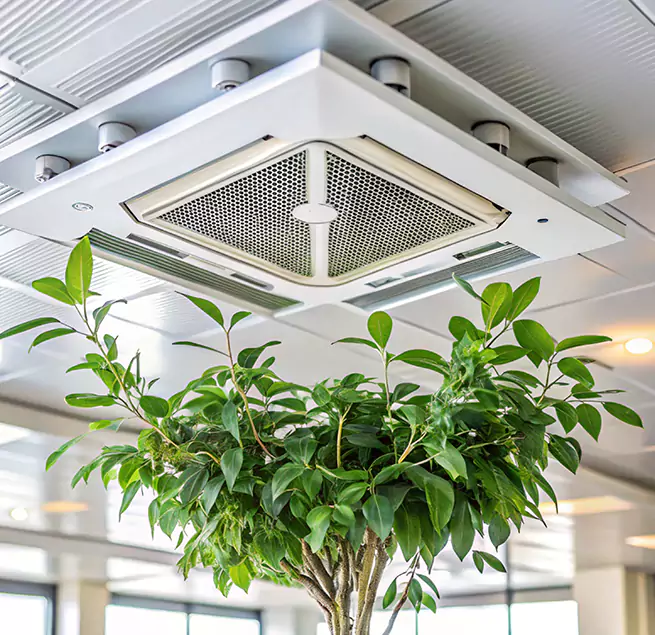 Why Homeowners & Businesses Trust Us in Winona, MN