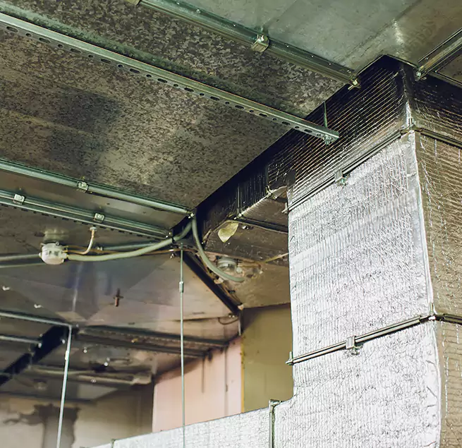 Why Homeowners & Businesses Trust Us in Winona, MN?